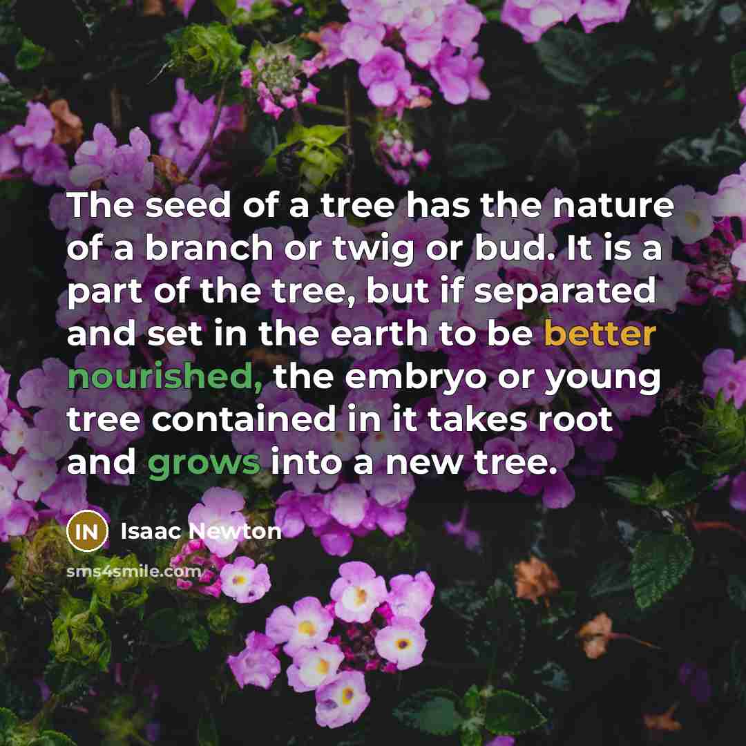 “The seed of a tree has the nature of a…” quote by Isaac Newton