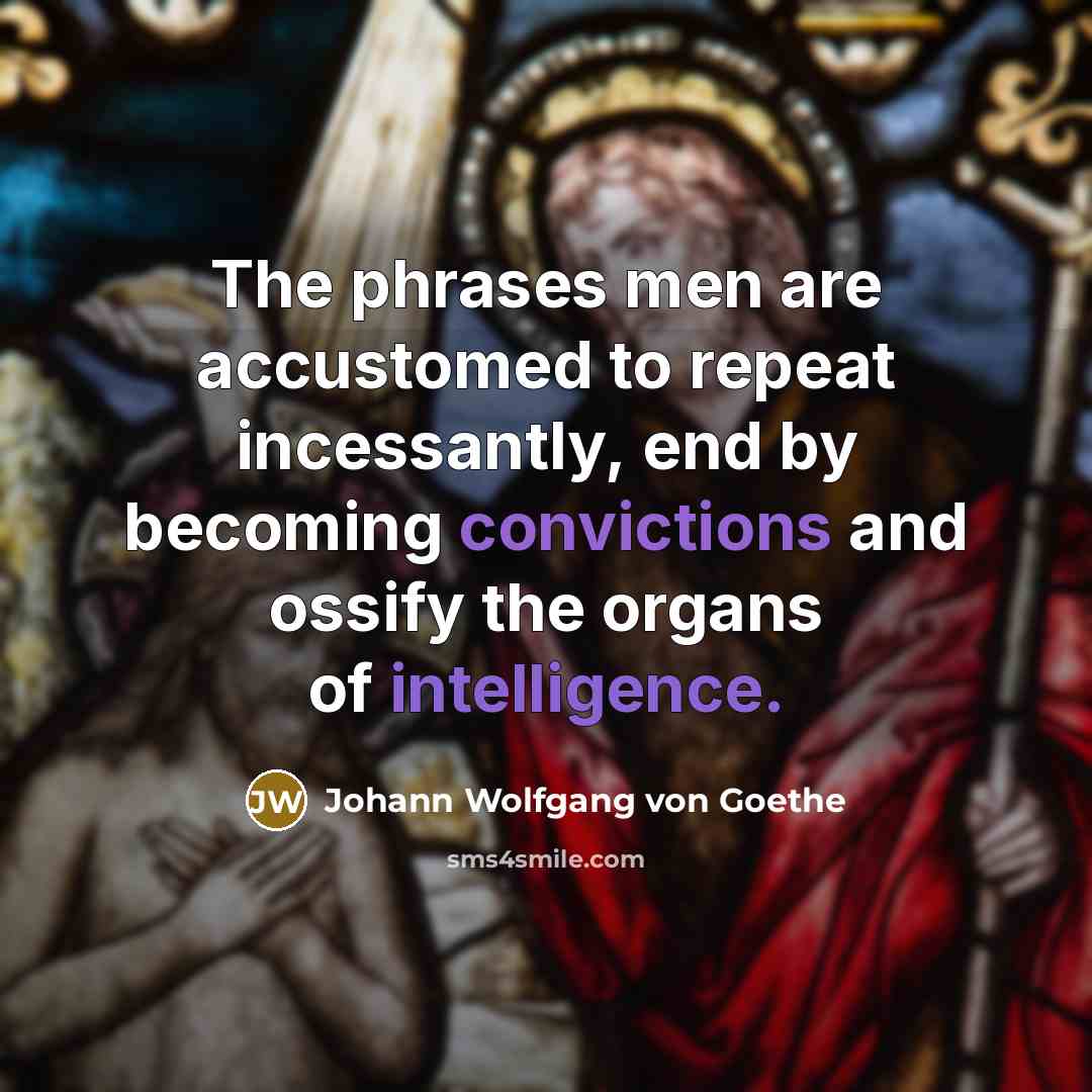 “The phrases men are accustomed to repeat incessantly, end by…” quote by Johann Wolfgang Von Goethe
