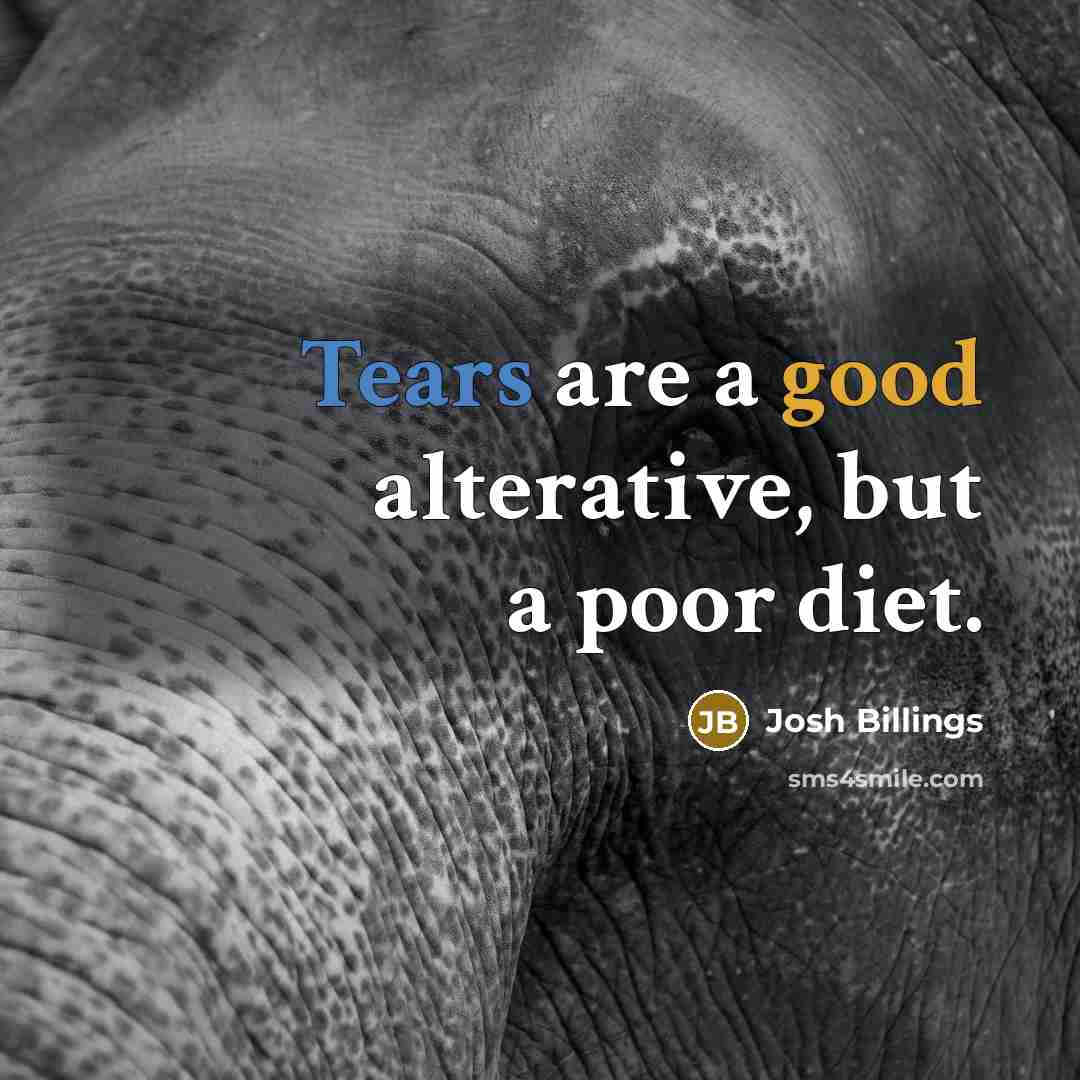 “Tears are a good alterative, but a poor diet.…” quote by Josh Billings