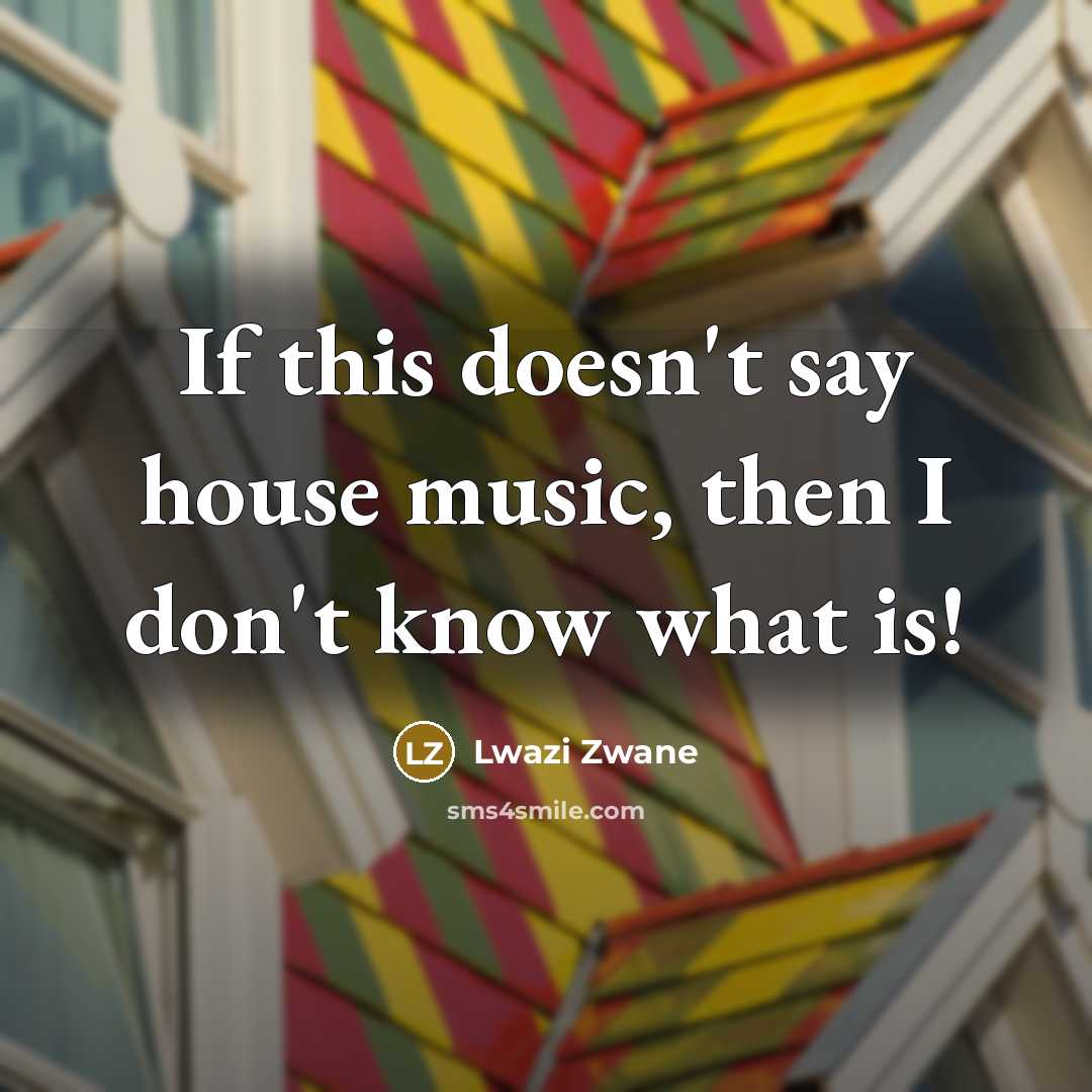 “If this doesn't say house music, then I don't know…” quote by Lwazi Zwane