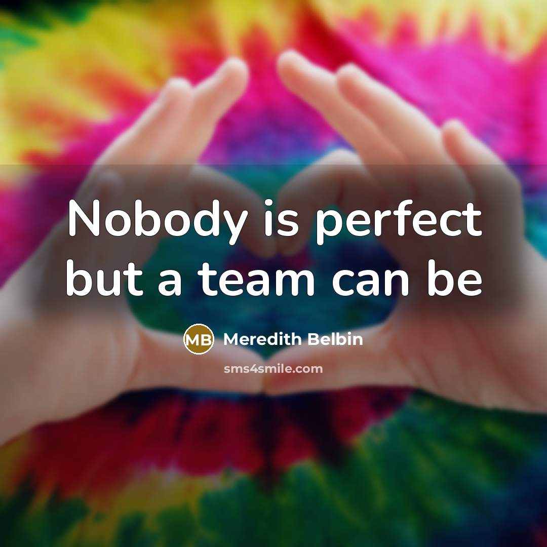 “Nobody is perfect but a team can be…” quote by Meredith Belbin