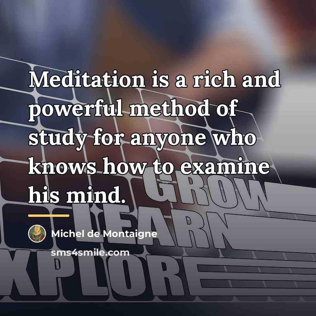 “Meditation is a rich and powerful method of study for…” quote by Michel de Montaigne