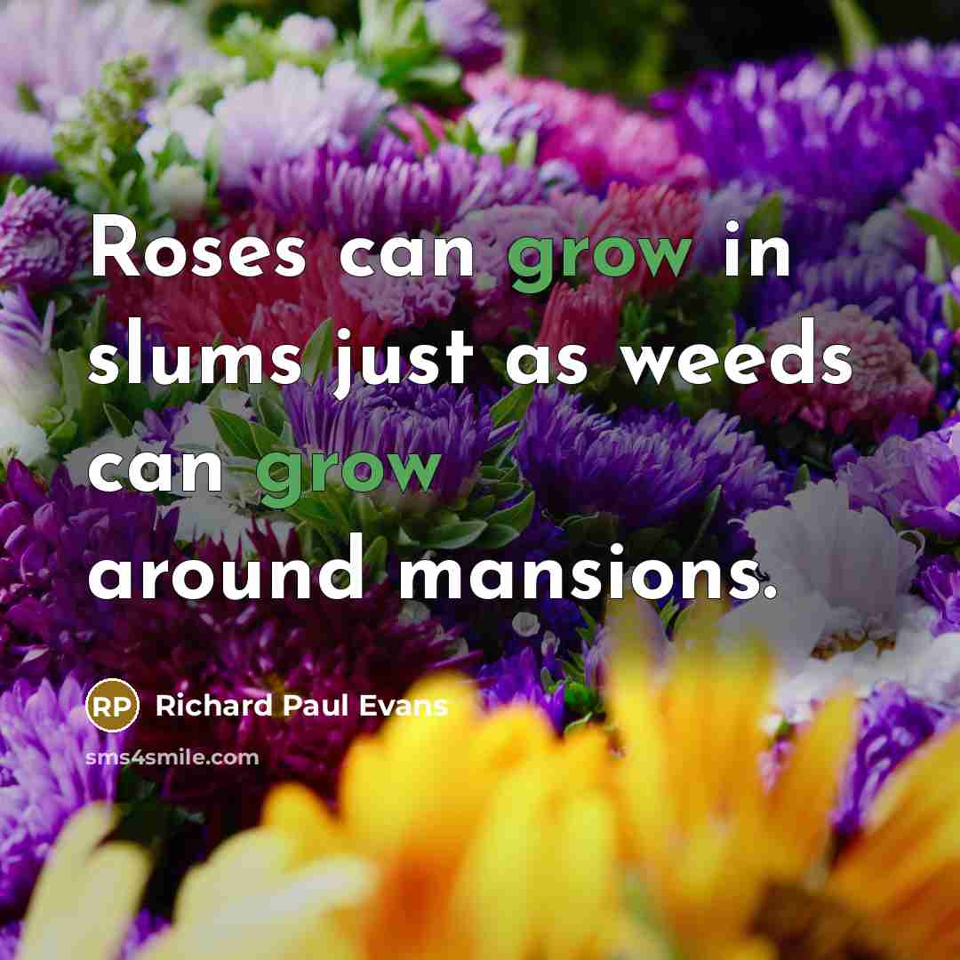 “Roses can grow in slums just as weeds can grow…” quote by Richard Paul Evans