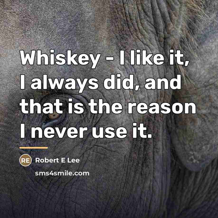 “Whiskey - I like it, I always did, and that…” quote by Robert E Lee