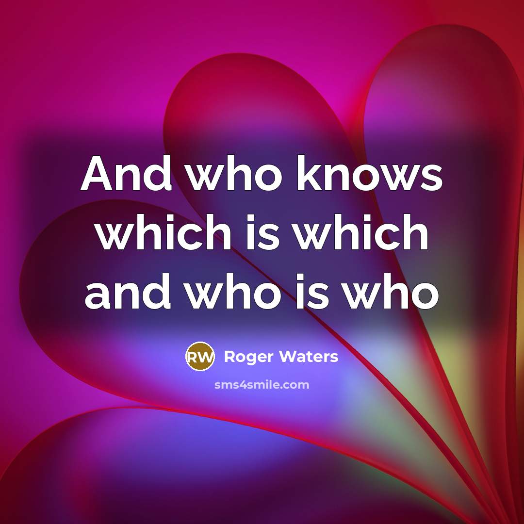 “And who knows which is which and who is who…” quote by Roger Waters