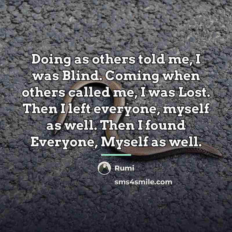 “Doing as others told me, I was Blind. Coming when…” quote by Rumi