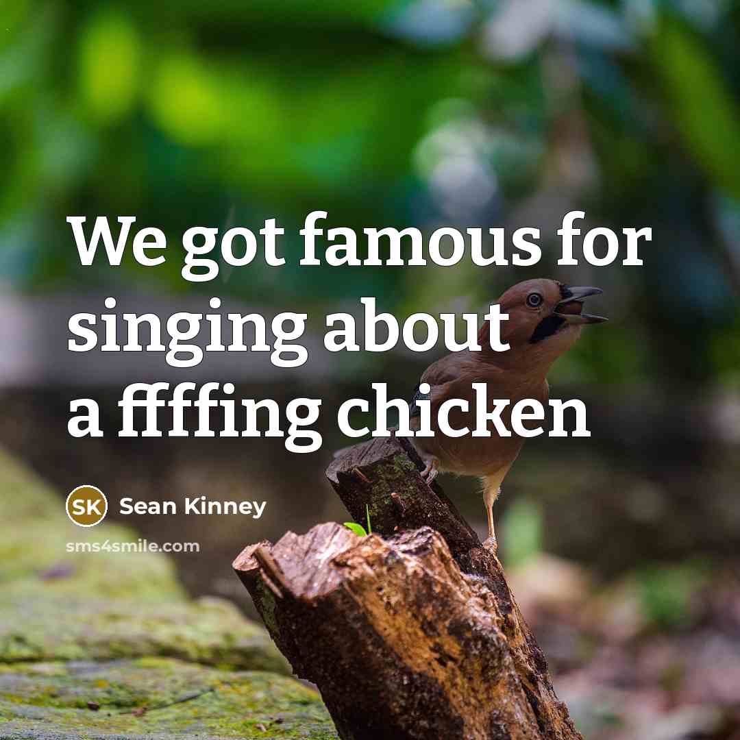 “We got famous for singing about a ffffing chicken…” quote by Sean Kinney