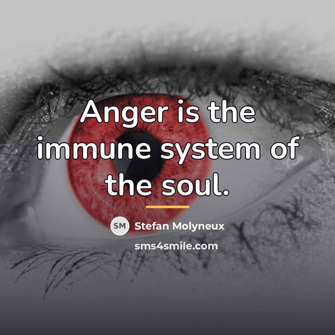 “Anger is the immune system of the soul.…” quote by Stefan Molyneux