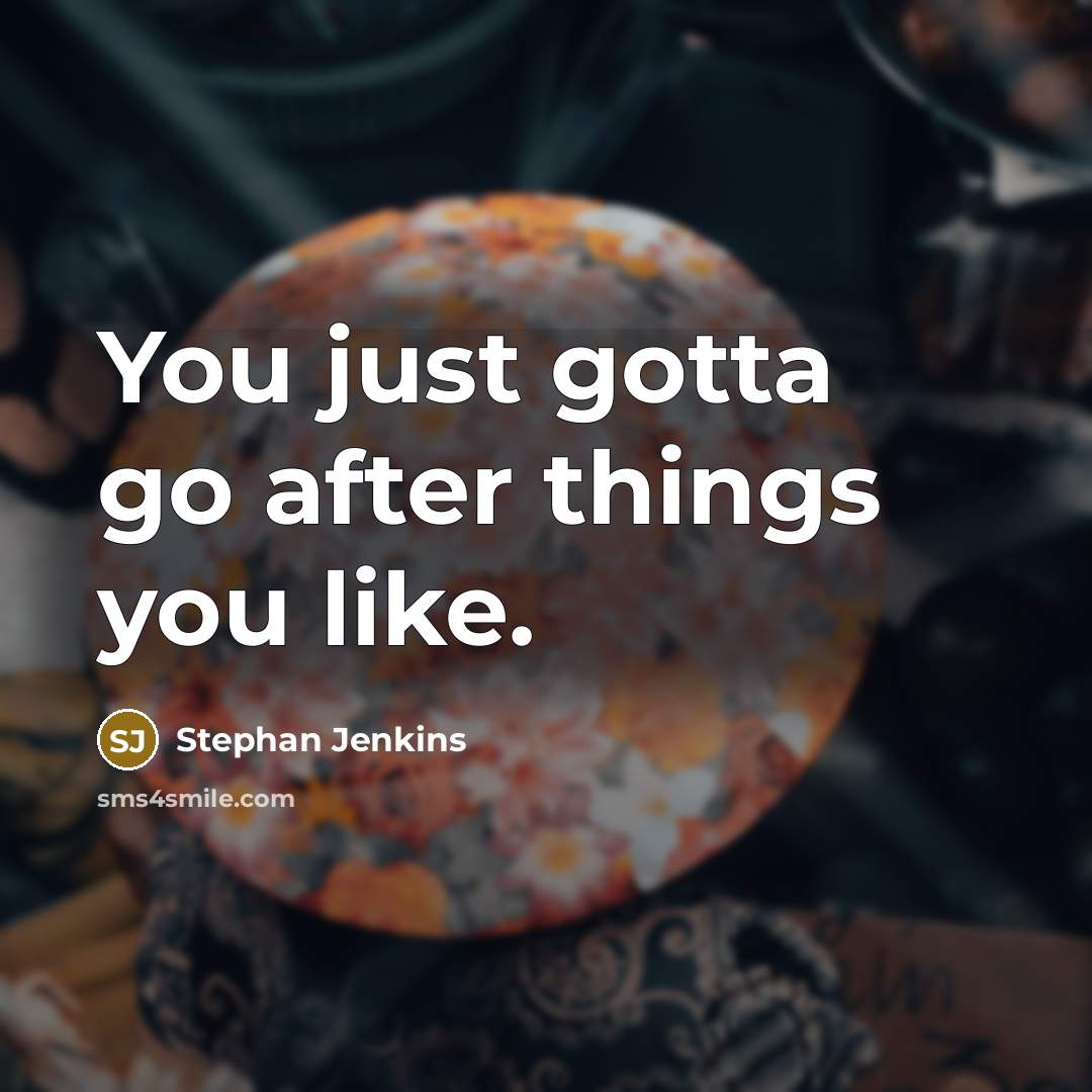 “You just gotta go after things you like.…” quote by Stephan Jenkins
