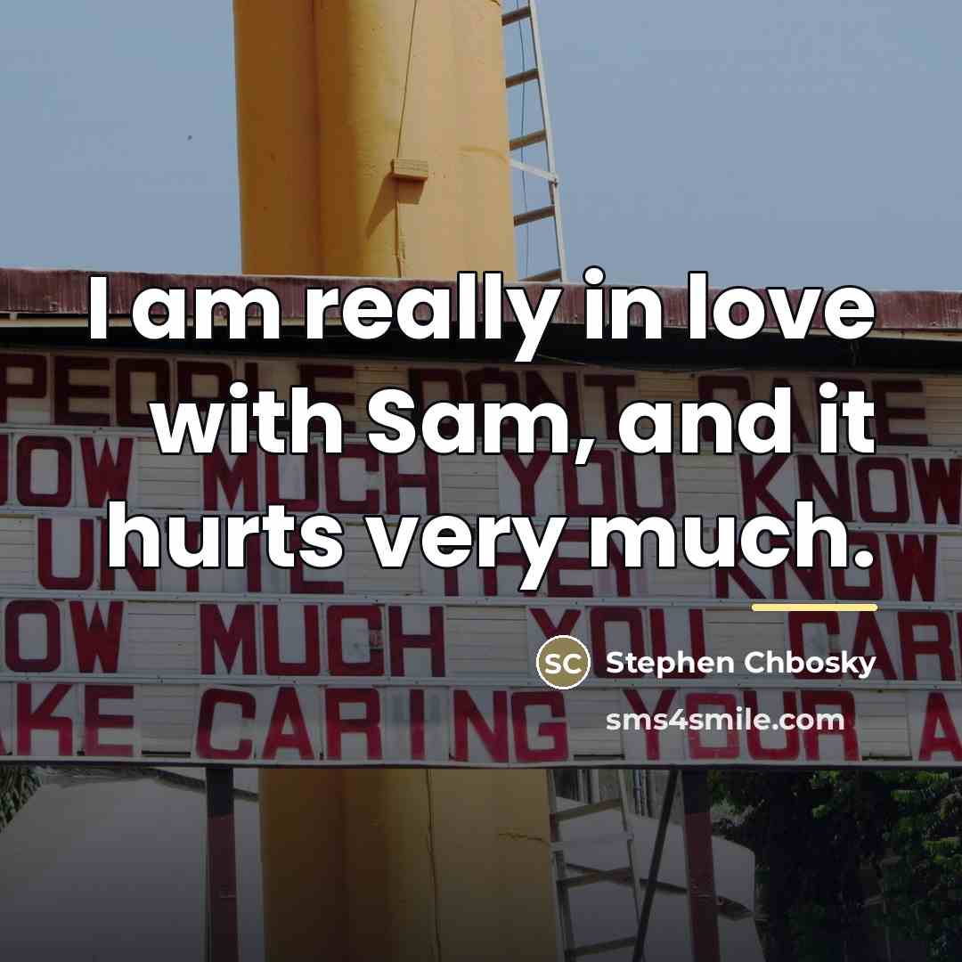 “I am really in love with Sam, and it hurts…” quote by Stephen Chbosky