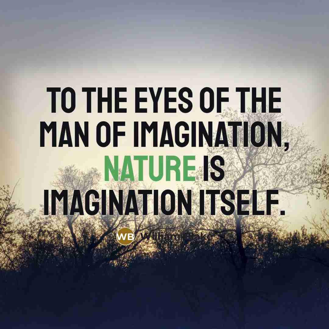 “To the eyes of the man of imagination, nature is…” quote by William Blake