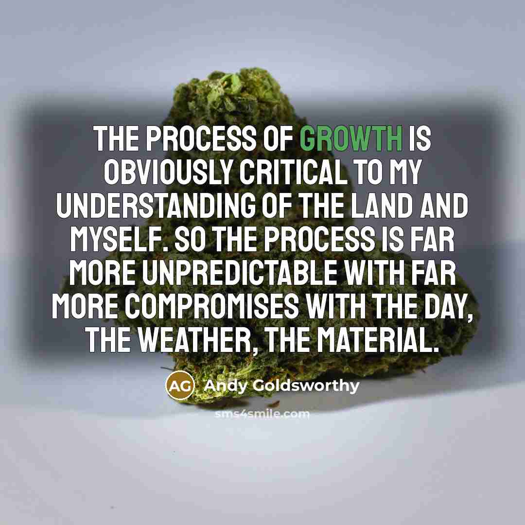 “The process of growth is obviously critical to my understanding…” quote by Andy Goldsworthy