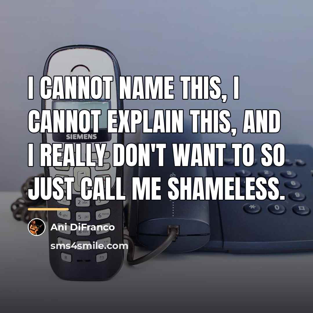 “I cannot name this, I cannot explain this, and I…” quote by Ani DiFranco
