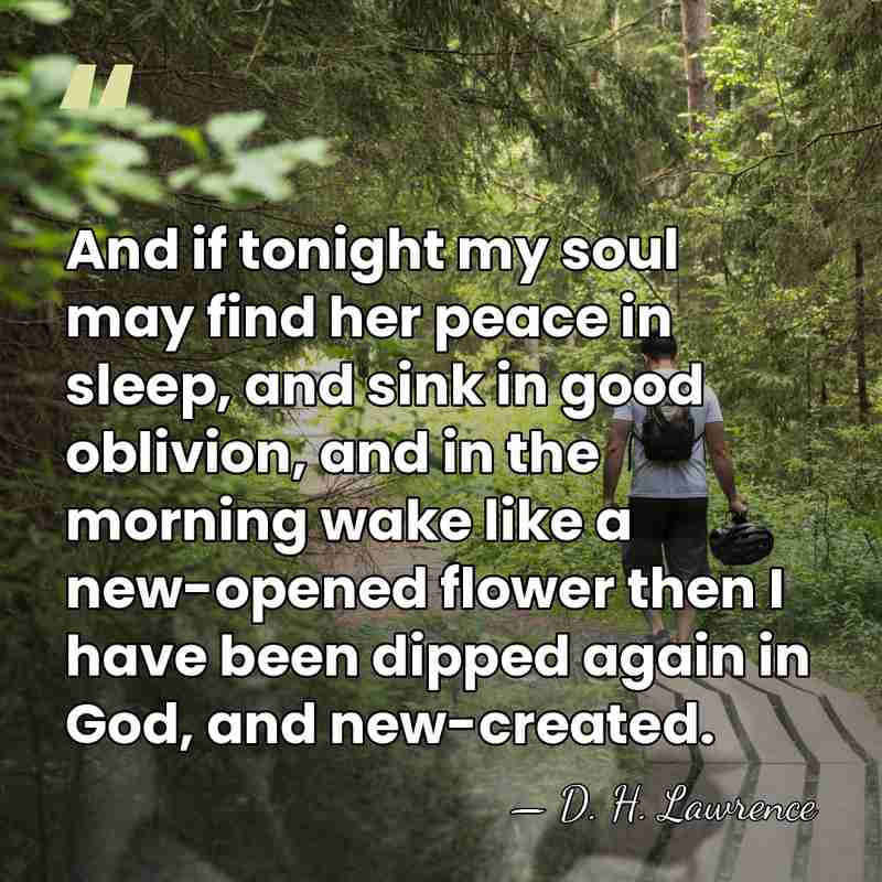 And if tonight my soul may find her peace in sleep, and&hellip; - D. H. Lawrence