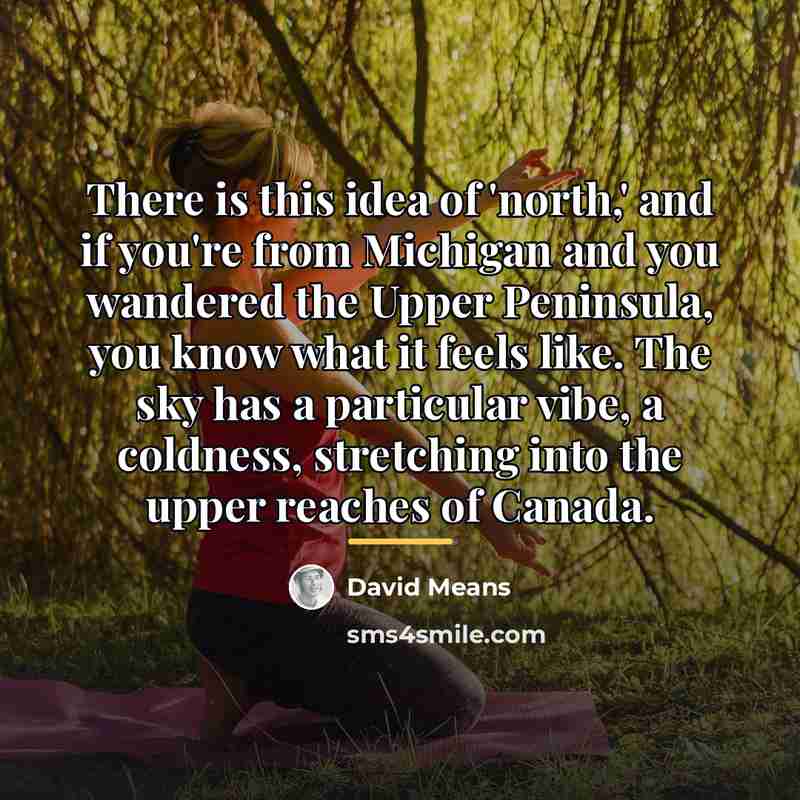 “There is this idea of 'north,' and if you're from…” quote by David Means