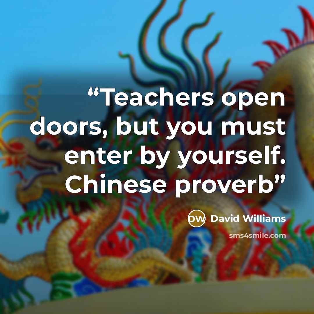 “Teachers open doors, but you must enter by yourself. Chinese proverb” quote by David Williams