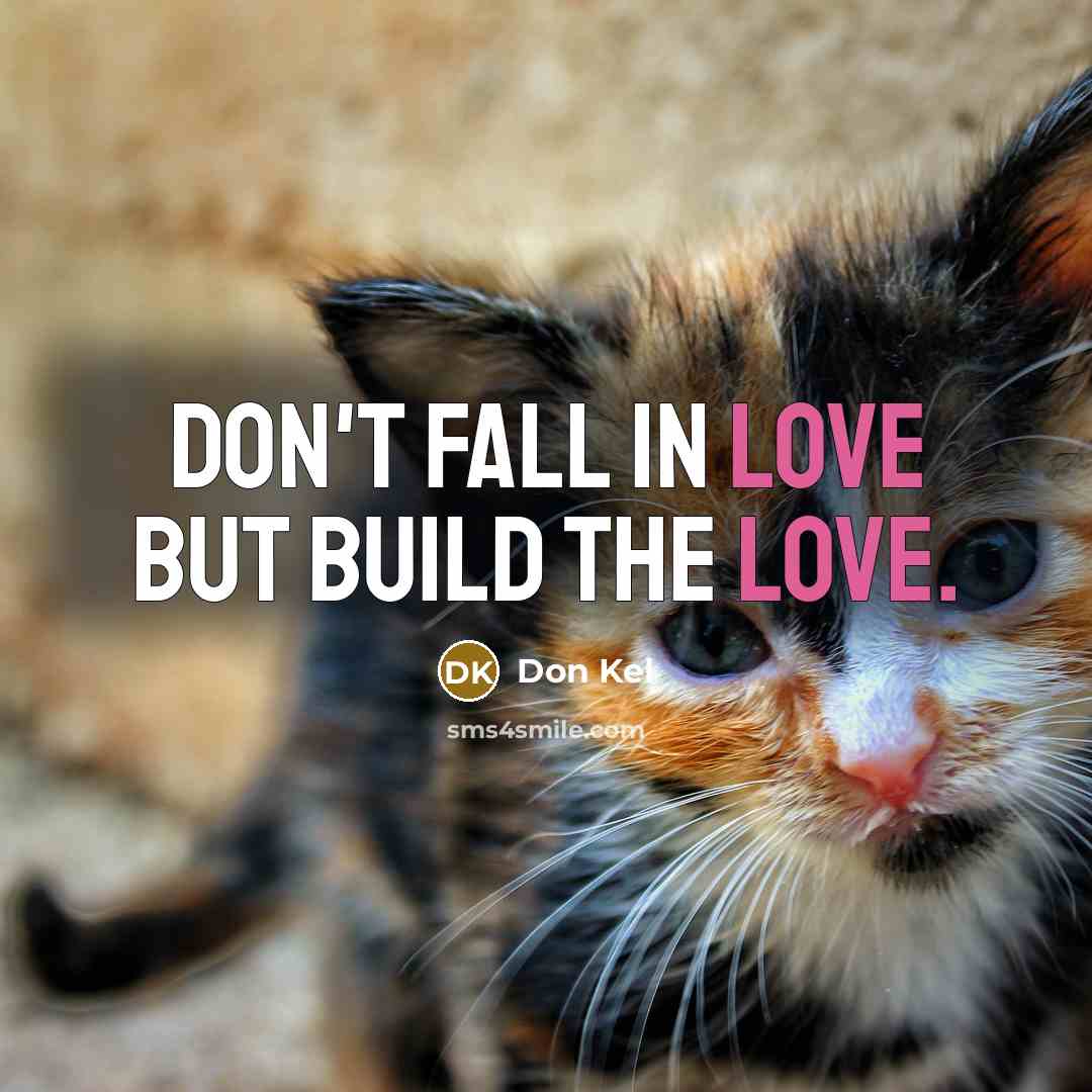 “Don't fall in love but build the love.…” quote by Don Kel