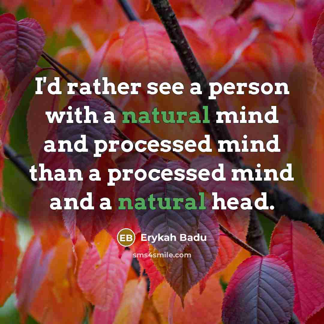 “I'd rather see a person with a natural mind and…” quote by Erykah Badu