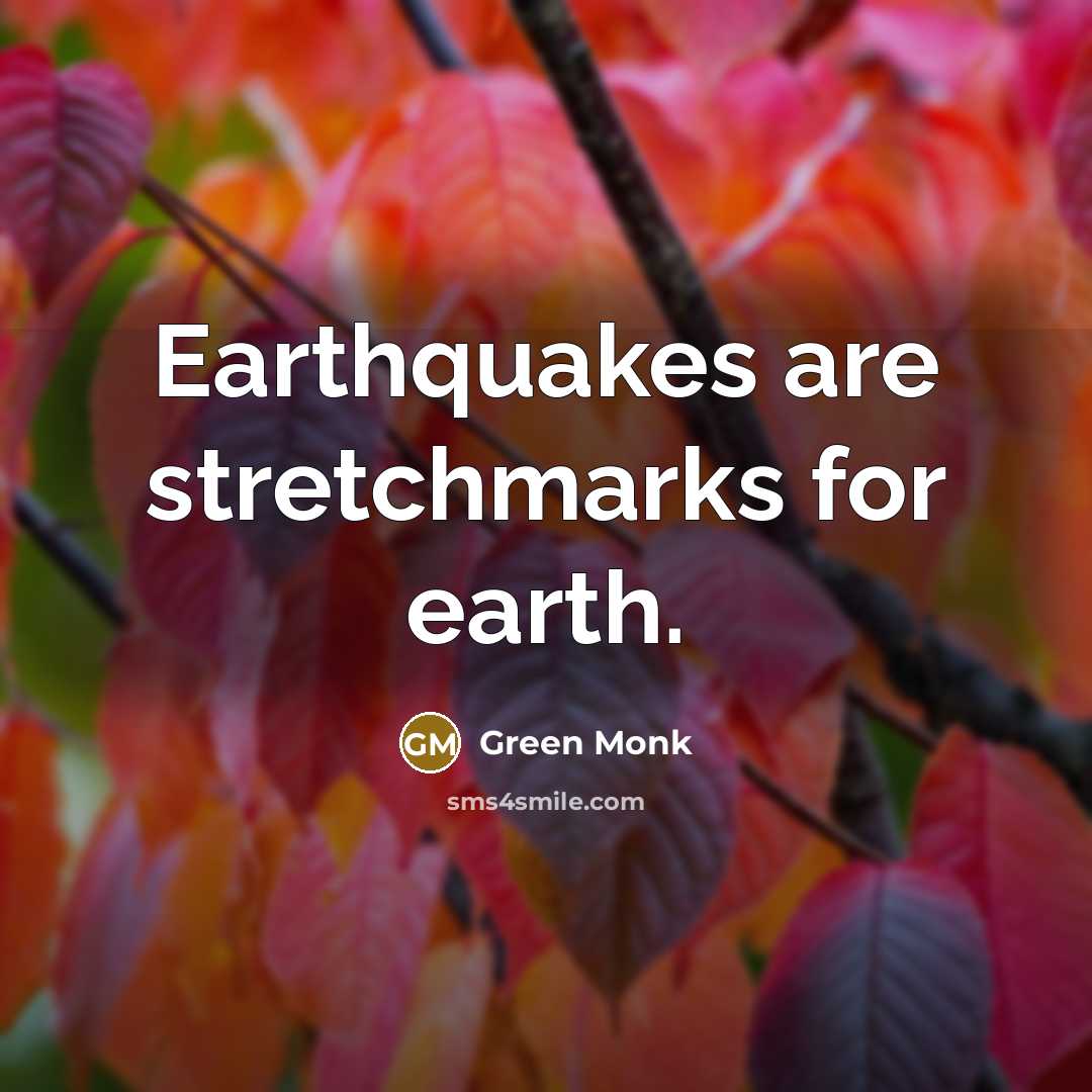 “Earthquakes are stretchmarks for earth.” quote by Green Monk