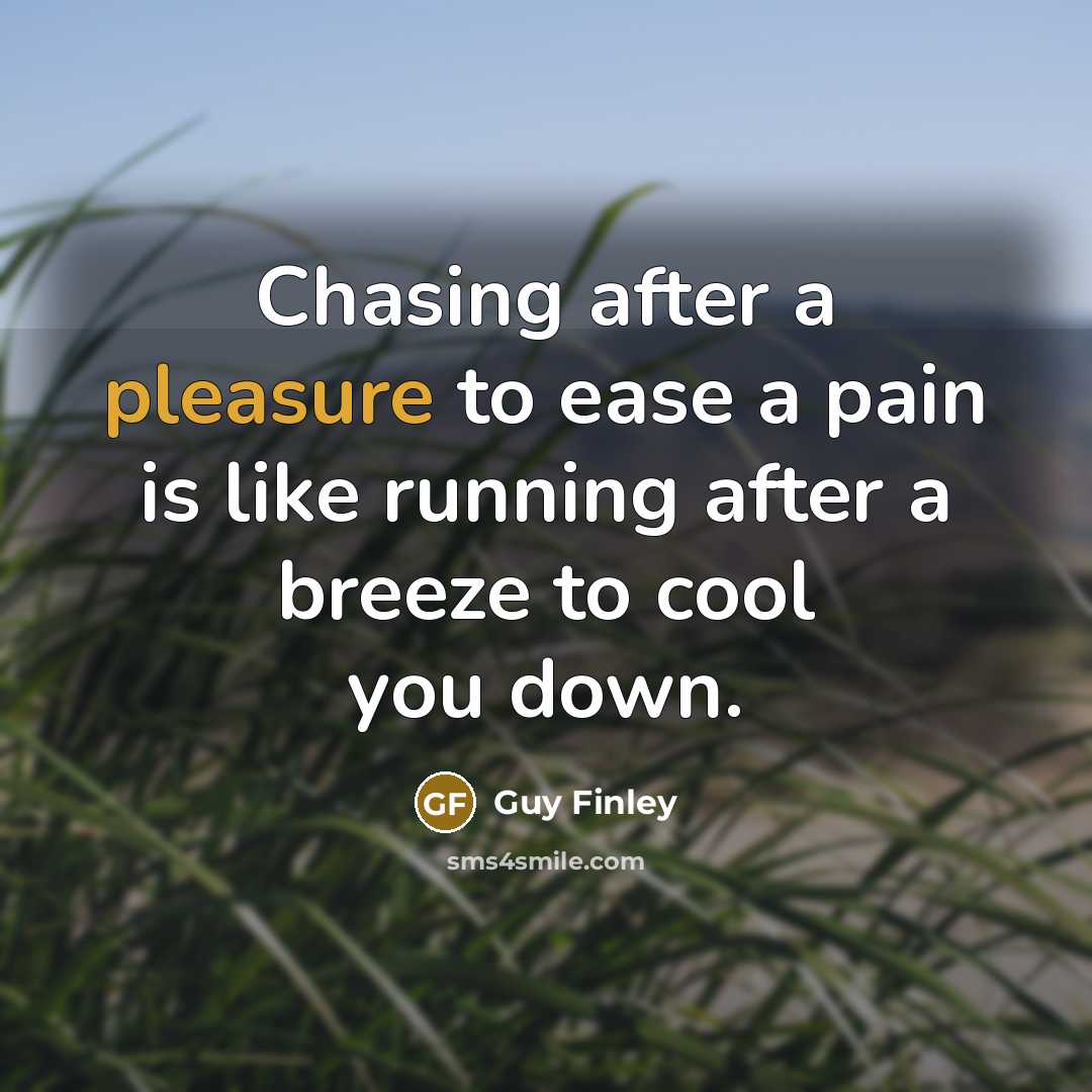 “Chasing after a pleasure to ease a pain is like…” quote by Guy Finley