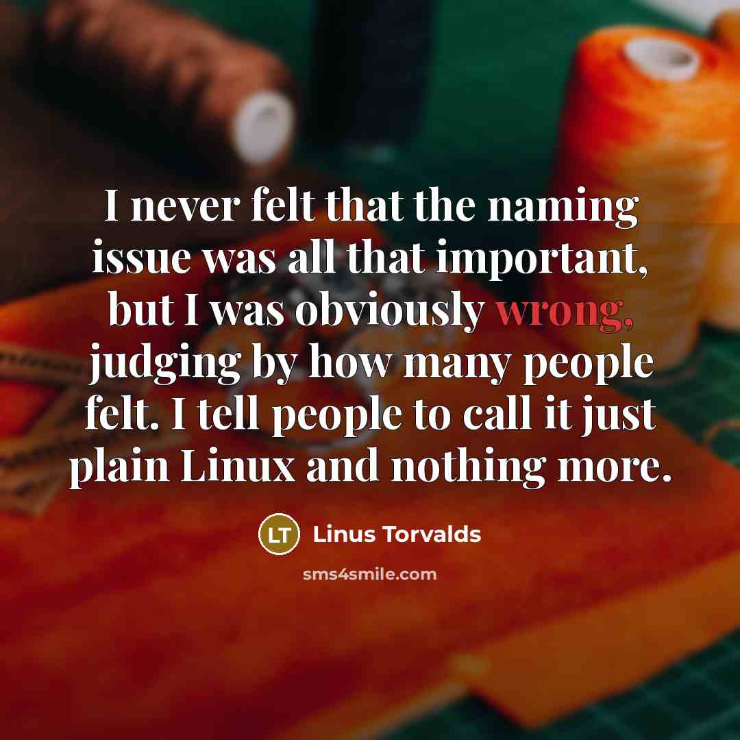 “I never felt that the naming issue was all that…” quote by Linus Torvalds