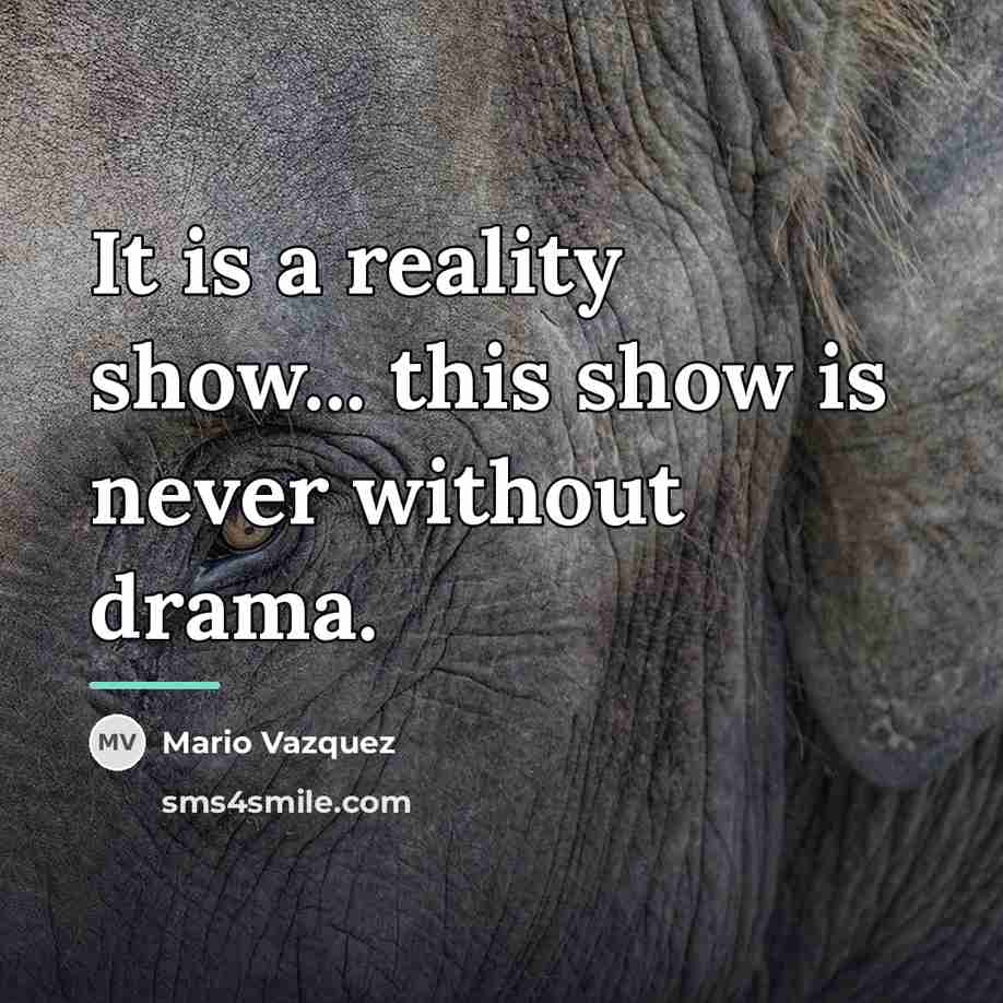 “It is a reality show... this show is never without…” quote by Mario Vazquez