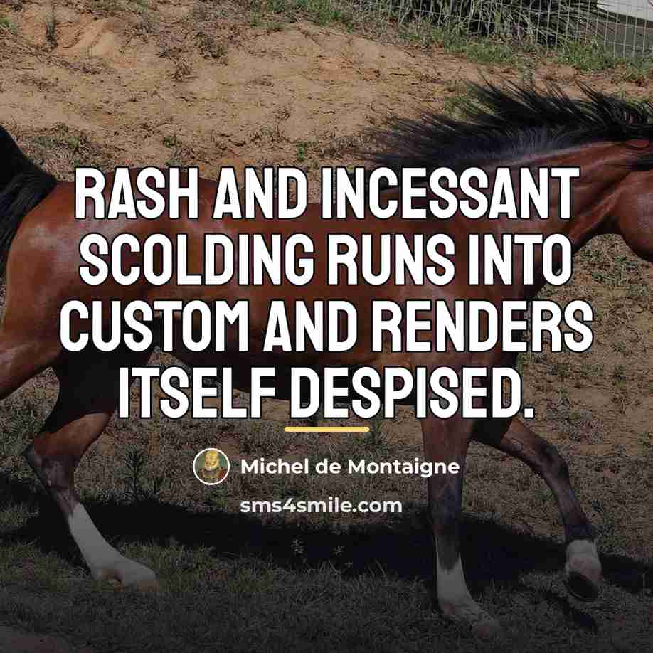 “Rash and incessant scolding runs into custom and renders itself…” quote by Michel de Montaigne