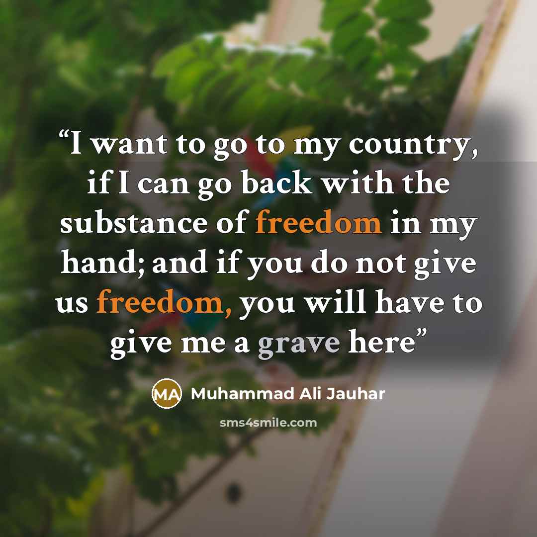 “I want to go to my country, if I can go back with the substance of freedom in my hand; and if you do not give us freedom, you will have to give me a grave here” quote by Muhammad Ali Jauhar