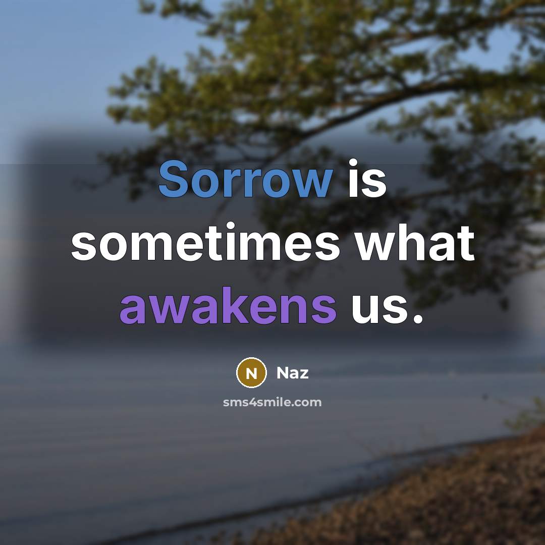 “Sorrow is sometimes what awakens us.” quote by Naz