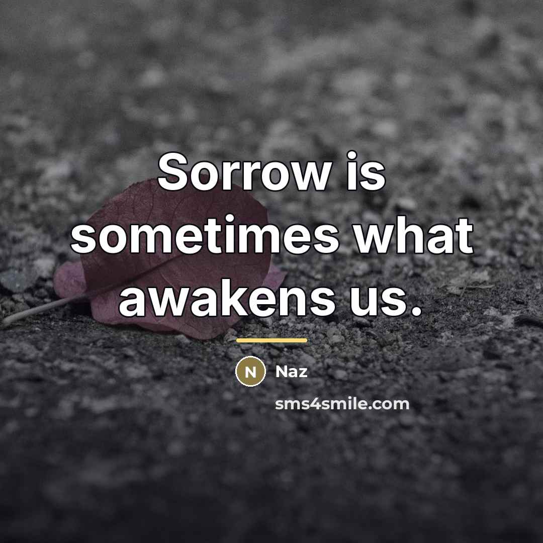 “Sorrow is sometimes what awakens us.…” quote by Naz
