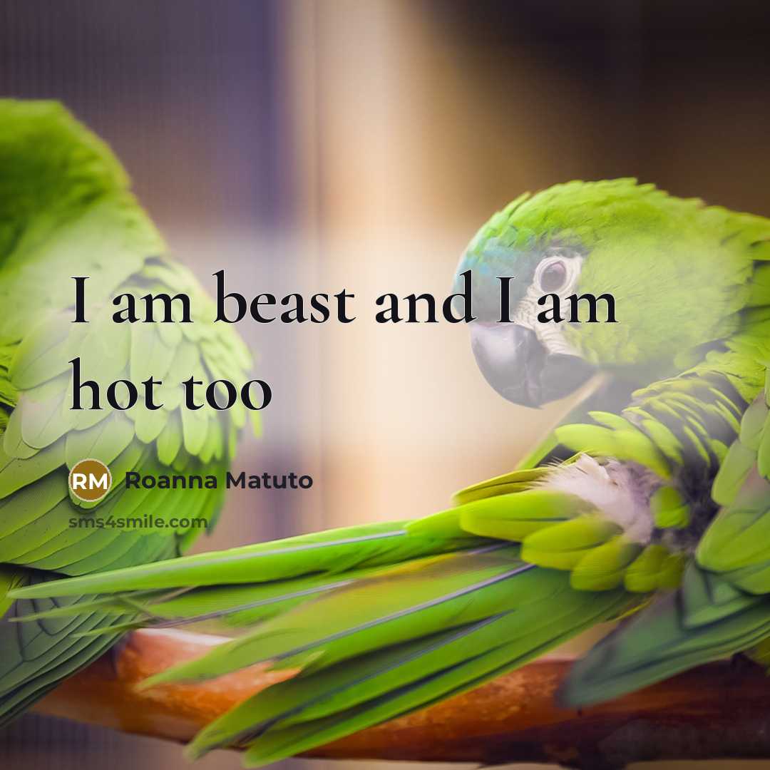 “I am beast and I am hot too…” quote by Roanna Matuto
