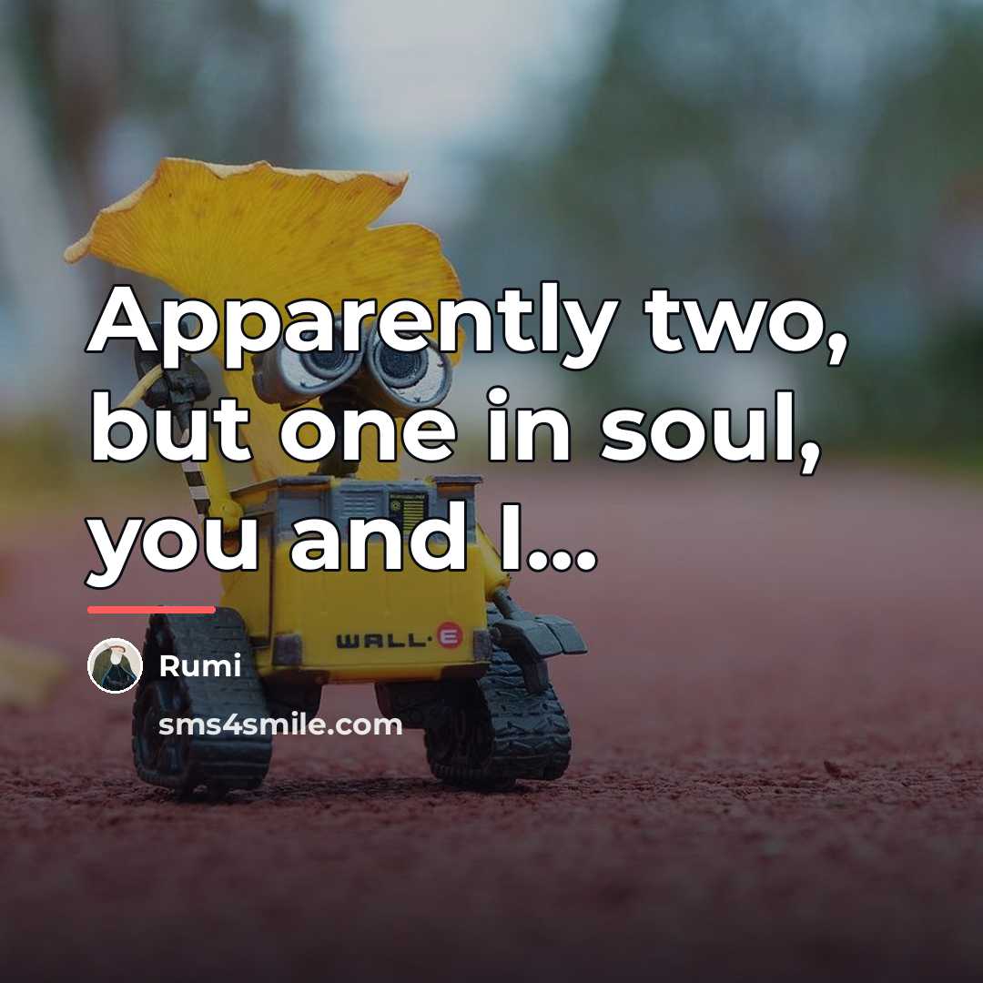 “Apparently two, but one in soul, you and I...…” quote by Rumi