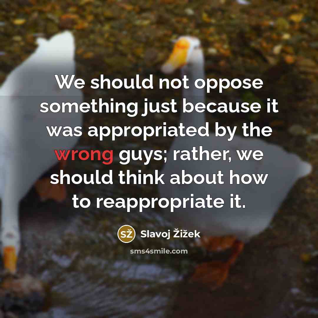 “We should not oppose something just because it was appropriated…” quote by Slavoj Žižek