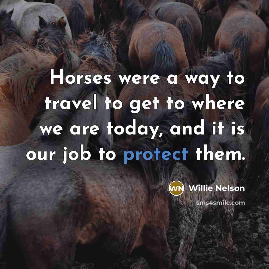 “Horses were a way to travel to get to where…” quote by Willie Nelson