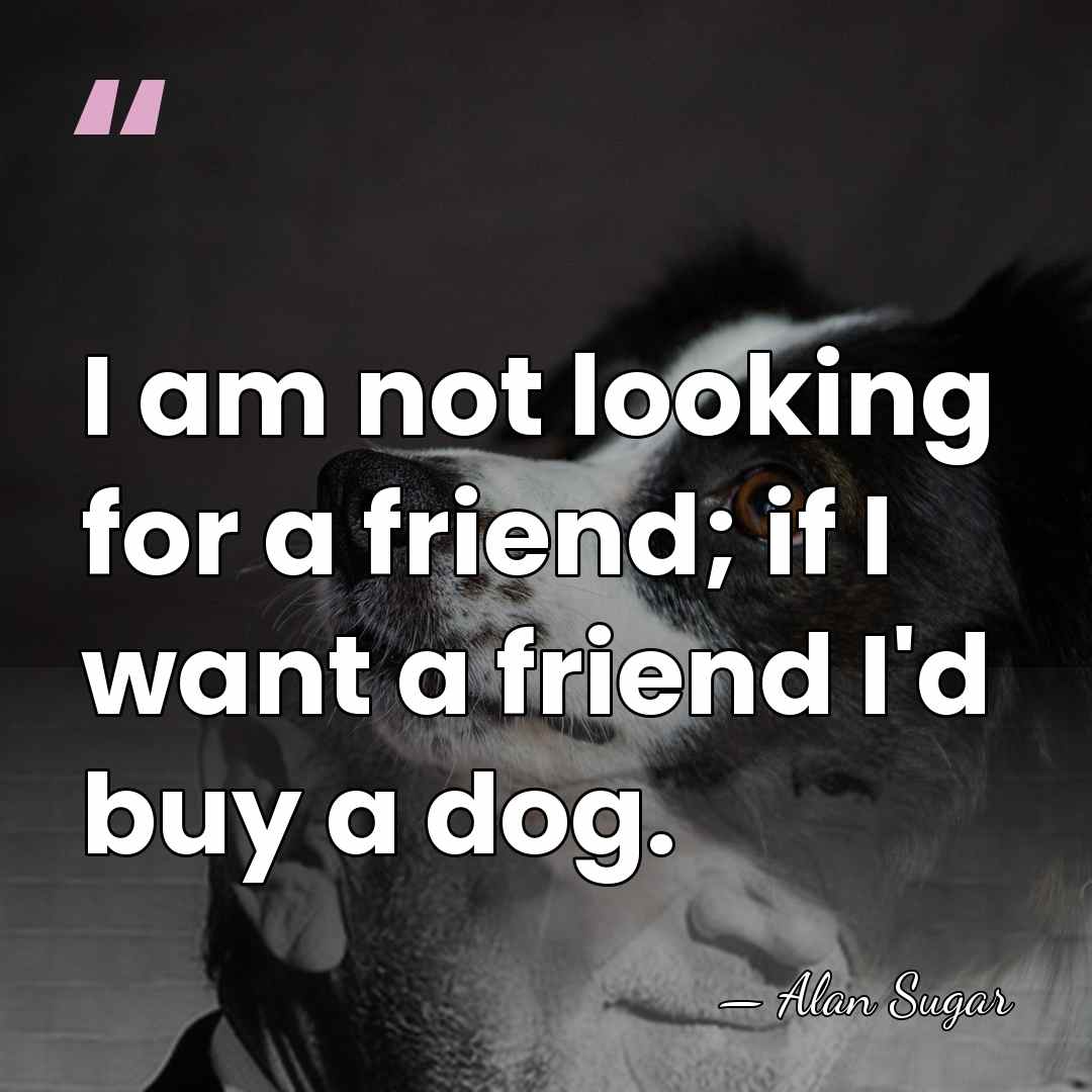 I am not looking for a friend; if I want a friend&hellip; - Alan Sugar