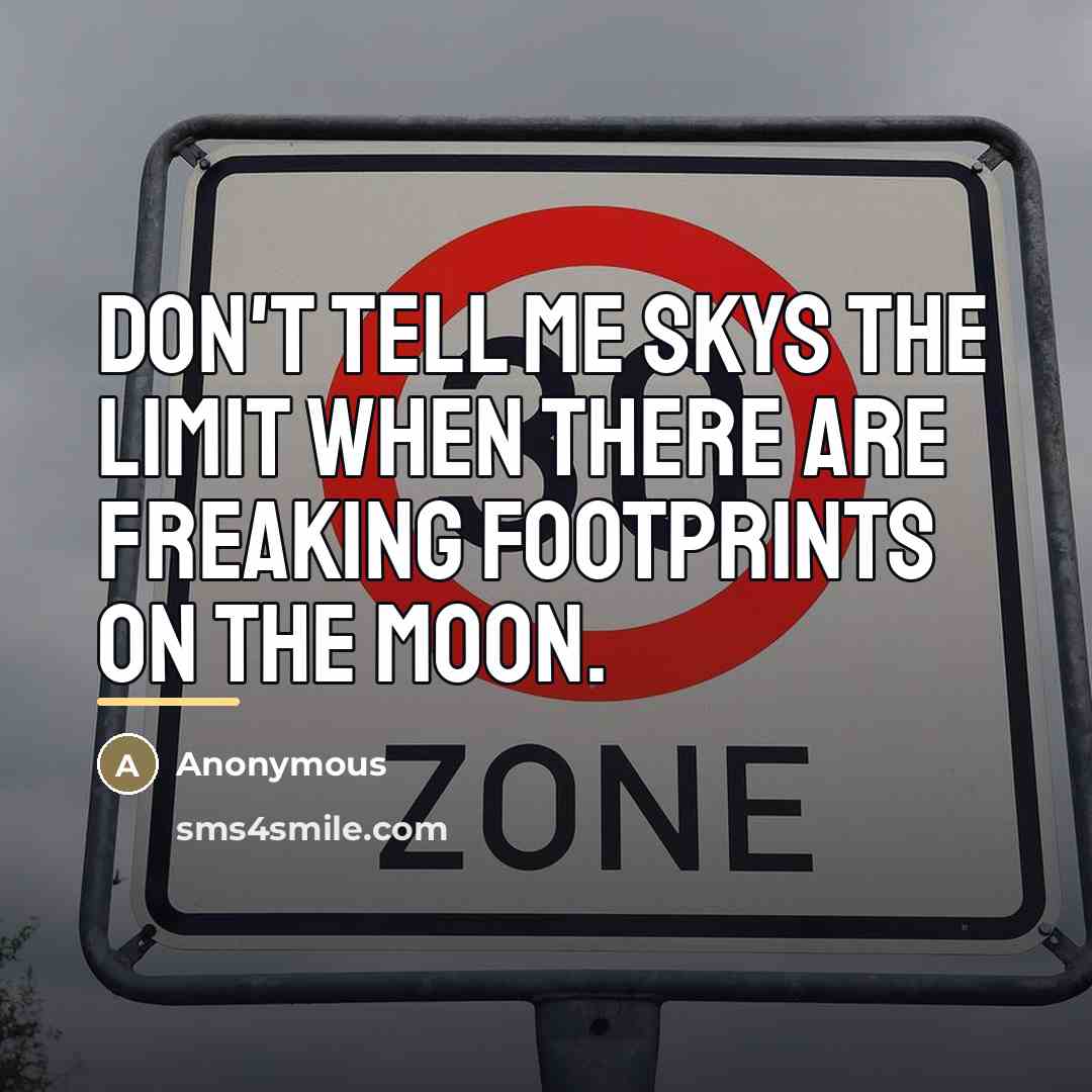 “Don't tell me skys the limit when there are freaking…” quote by Anonymous