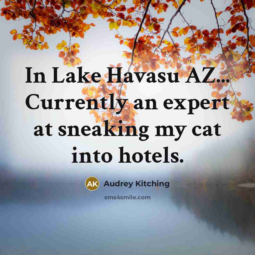 “In Lake Havasu AZ... Currently an expert at sneaking my…” quote by Audrey Kitching