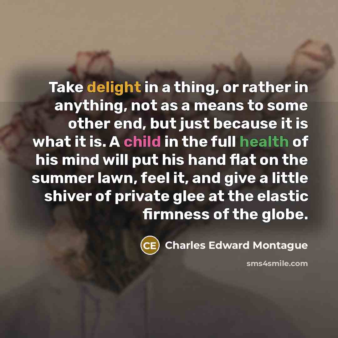 “Take delight in a thing, or rather in anything, not…” quote by Charles Edward Montague