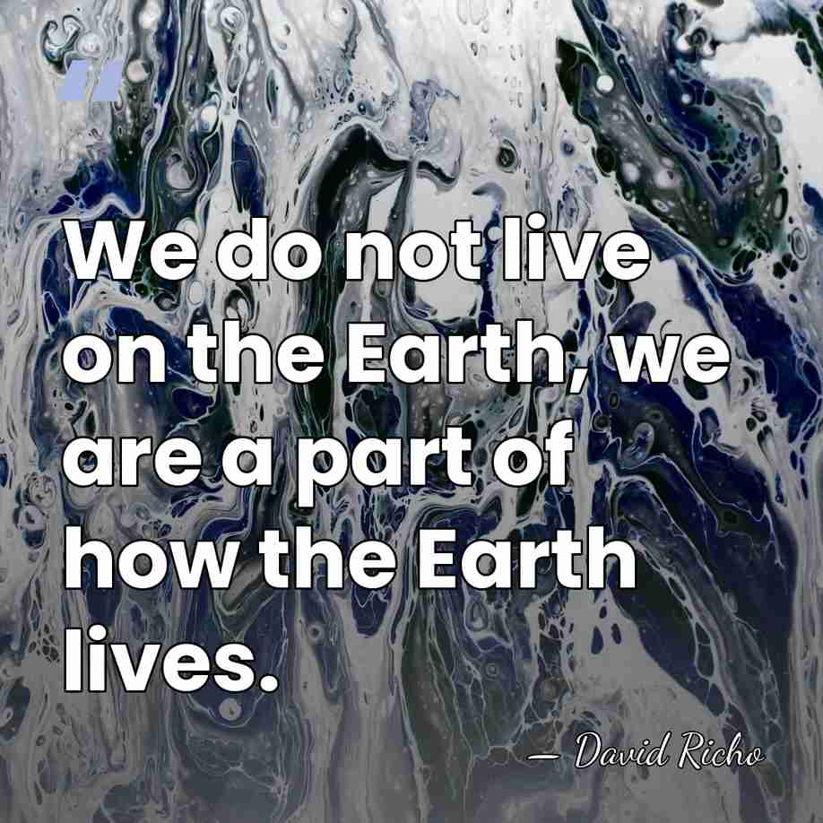 We do not live on the Earth, we are a part of&hellip; - David Richo