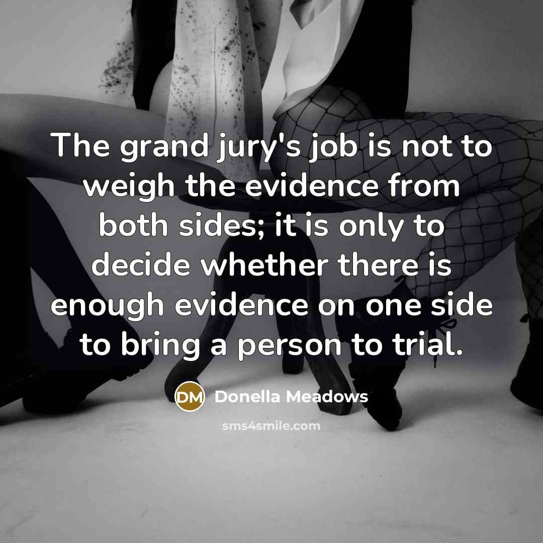“The grand jury's job is not to weigh the evidence…” quote by Donella Meadows