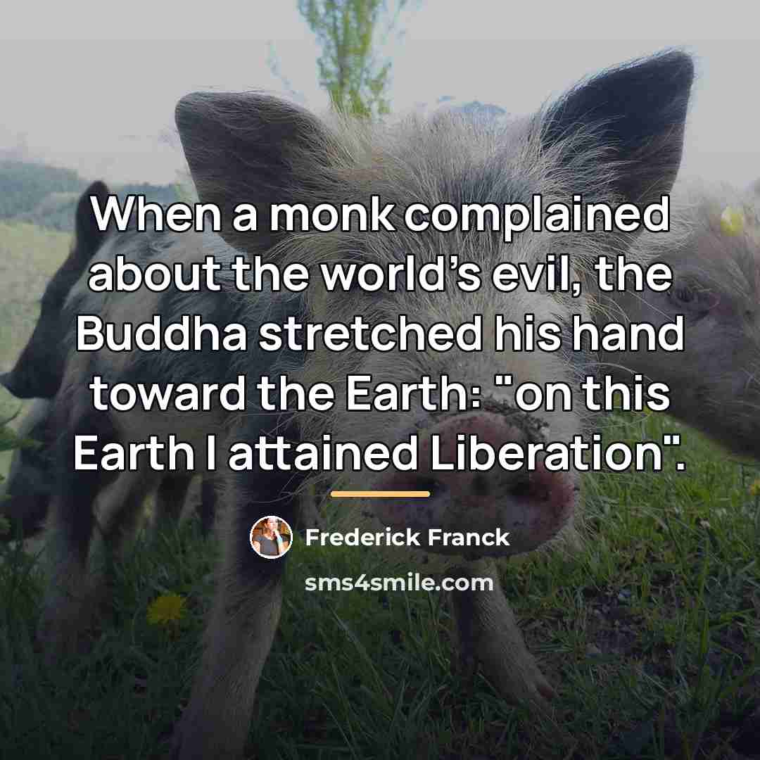 “When a monk complained about the world's evil, the Buddha…” quote by Frederick Franck