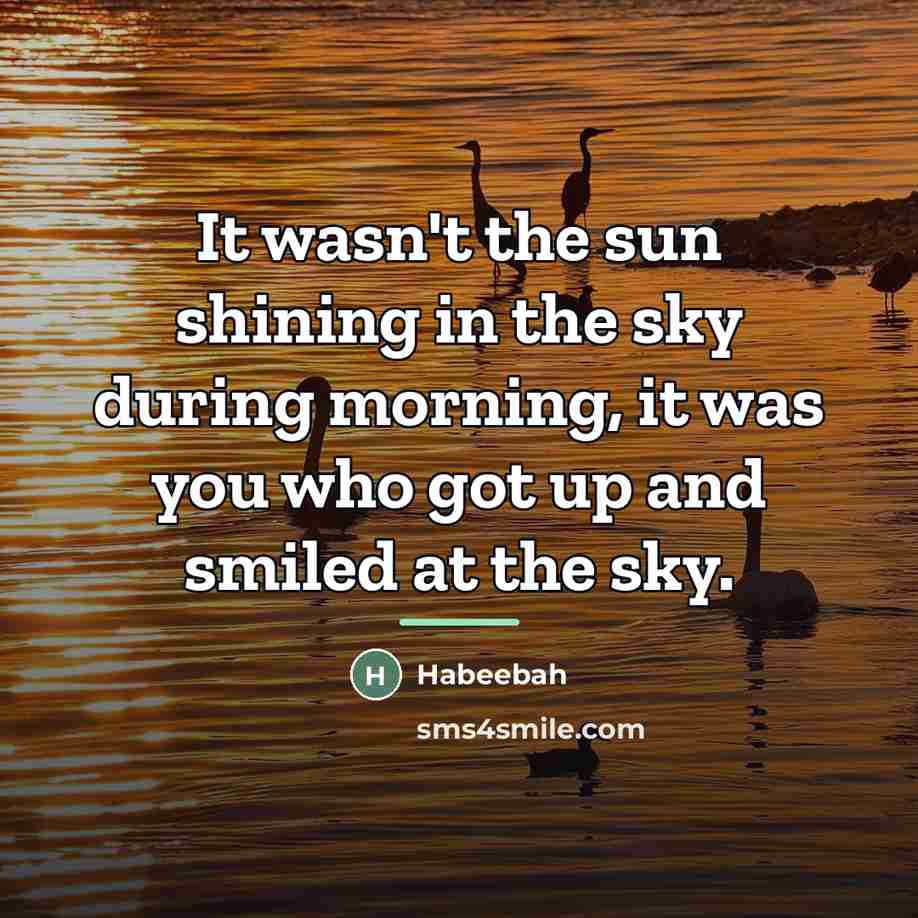 “It wasn't the sun shining in the sky during morning,…” quote by Habeebah
