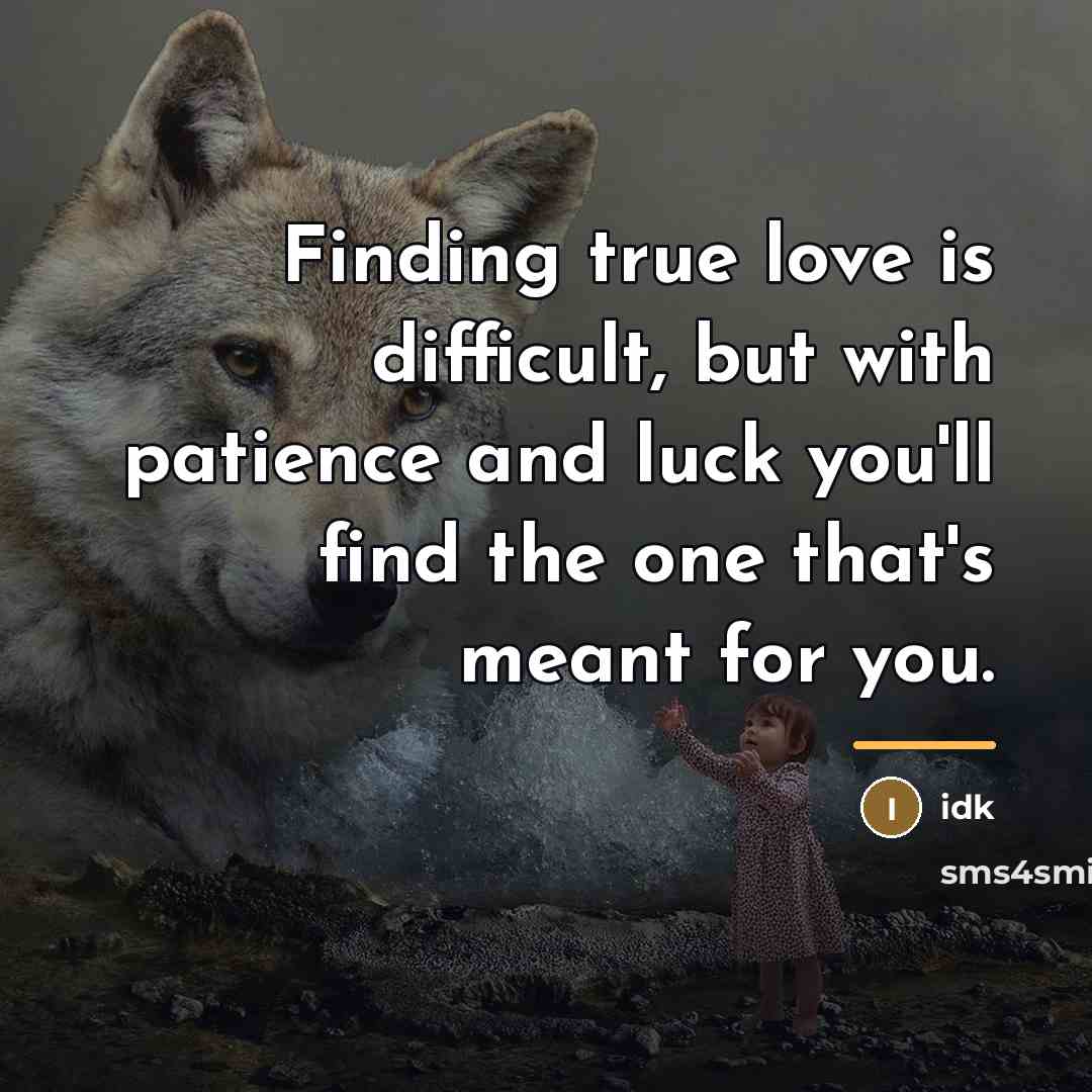 “Finding true love is difficult, but with patience and luck…” quote by Idk