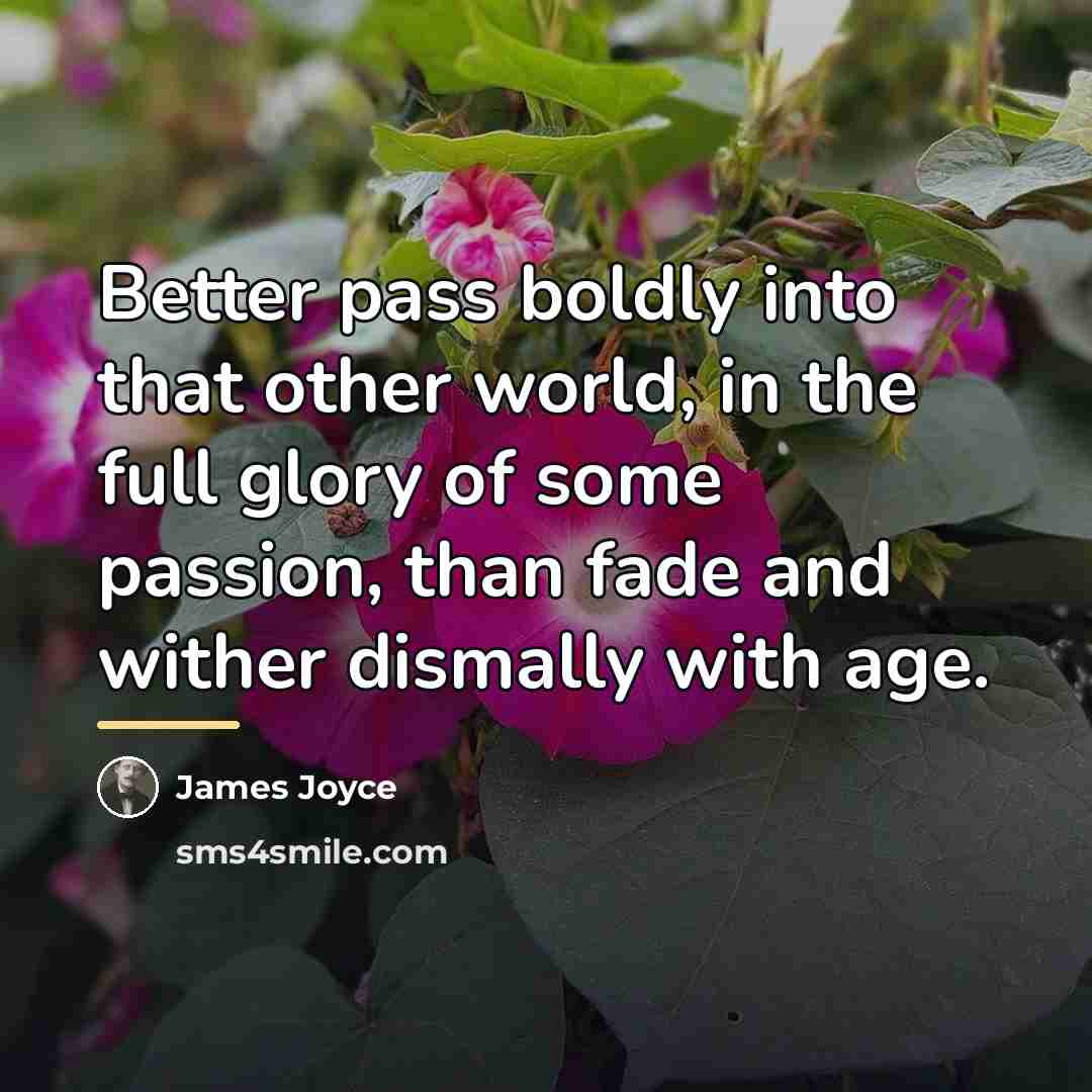 “Better pass boldly into that other world, in the full…” quote by James Joyce