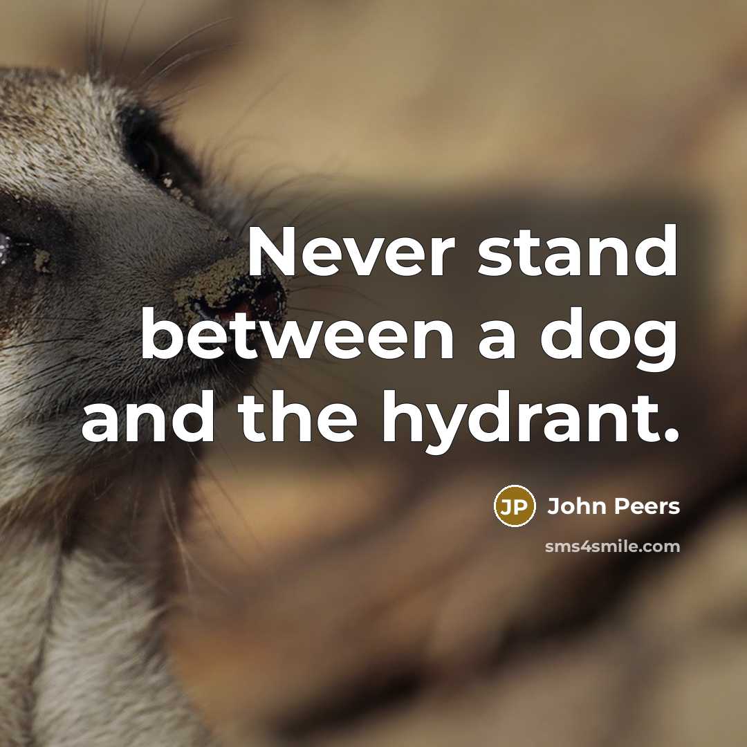 “Never stand between a dog and the hydrant.…” quote by John Peers