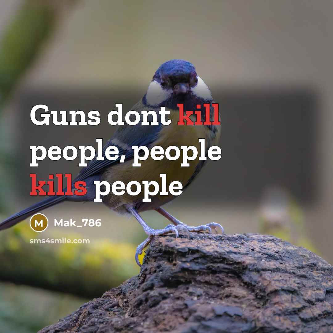 “Guns dont kill people, people kills people” quote by Mak_786