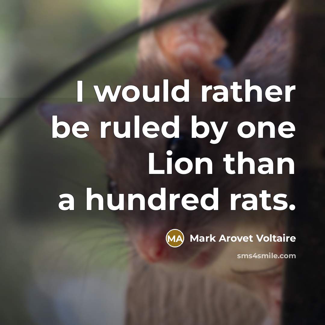 “I would rather be ruled by one Lion than a hundred rats.” quote by Mark Arovet Voltaire
