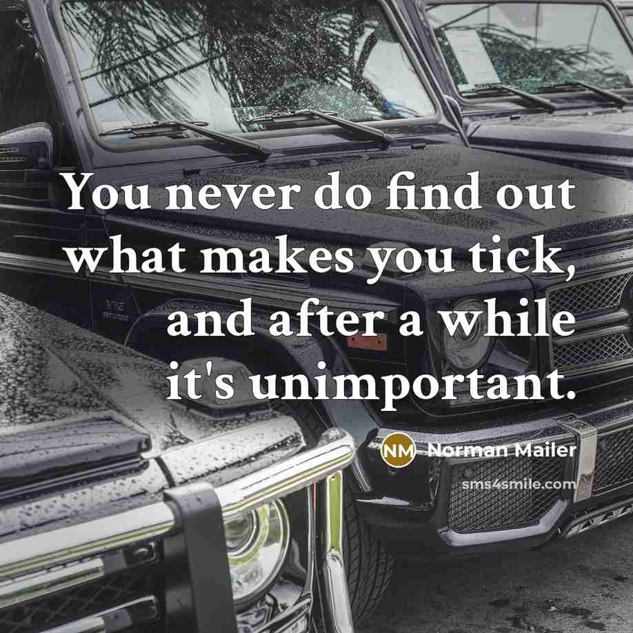 “You never do find out what makes you tick, and…” quote by Norman Mailer