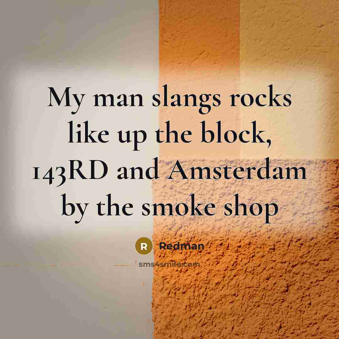 “My man slangs rocks like up the block, 143RD and…” quote by Redman