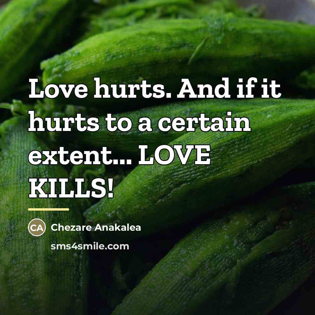 “Love hurts. And if it hurts to a certain extent...…” quote by Chezare Anakalea